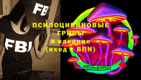 стафф Алексин