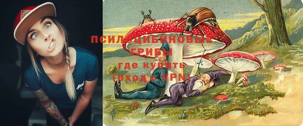 прущие грибы Алексеевка