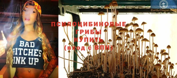 стафф Алексин