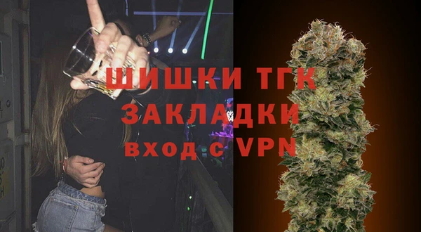 стафф Алексин