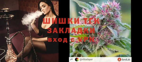 прущие грибы Алексеевка