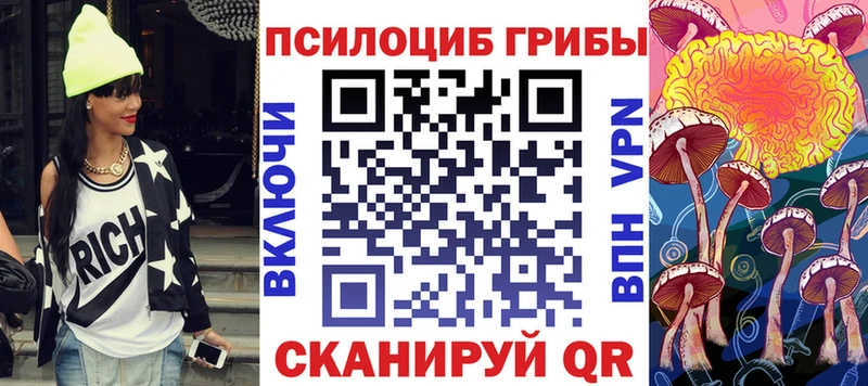 Псилоцибиновые грибы Cubensis  где купить наркоту  Змеиногорск 